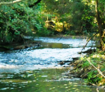 Entretien Cours D'eau De La SAVE