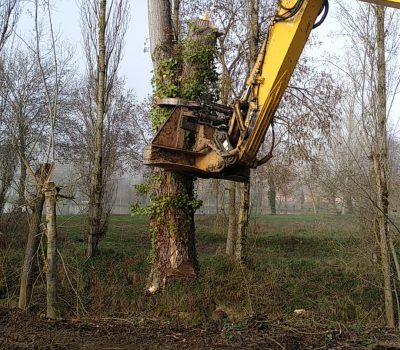 Abattage Arbres Gimont