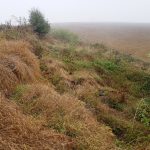 debroussaillage digue lac Brugnens 32500