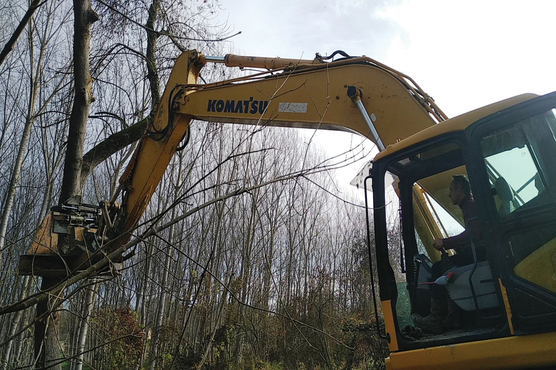 Abattage Peupliers Gimont 32-travaux Truilhé TP