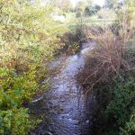 Ripisylve berge rivière de la Save