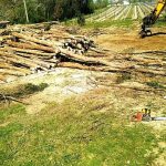 travaux forestiers gers