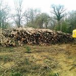 façonnage bois - travaux forestiers gers