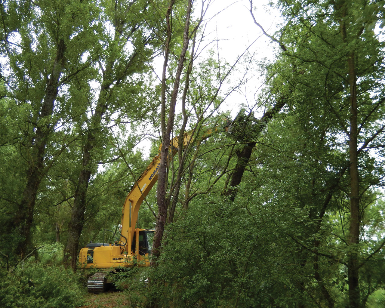 Travaux Forestier 32-Truilhe TP