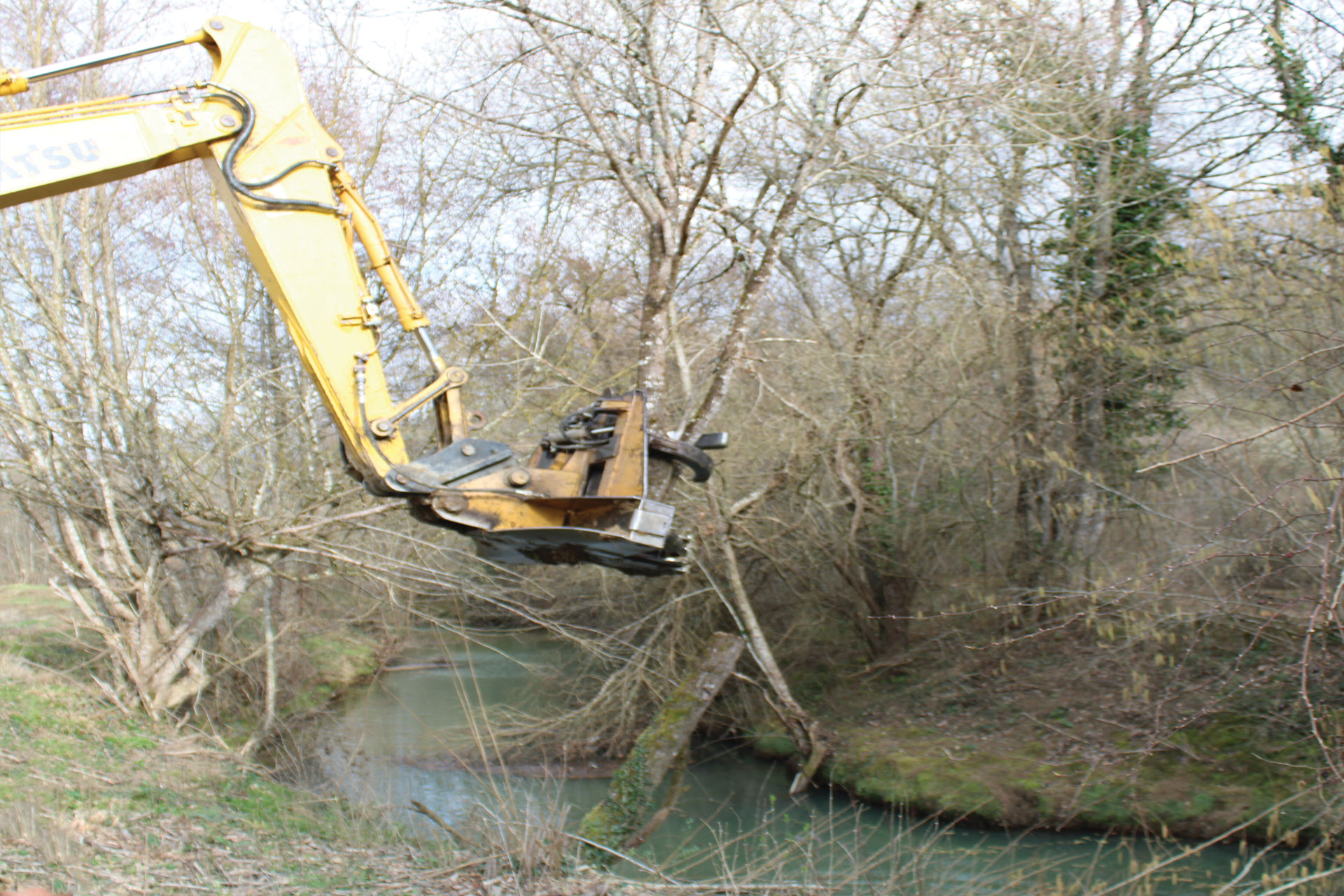 Abattage forestier