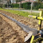 paillage-travaux plantation 32