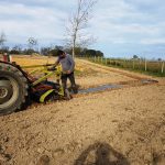pose d'un paillage via un tracteur Gers