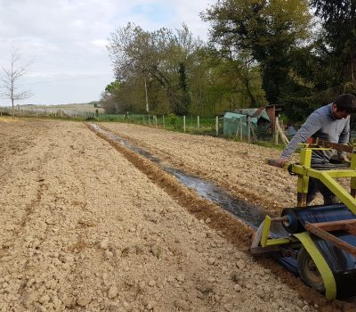 Paillage Bretagne D'Armagnac 32800