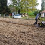 travaux plantation 32