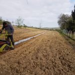 plantation forestière Gers
