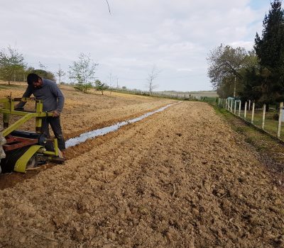 Plantation Forestière Gers