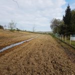 ligne de plantation 32