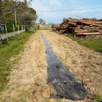 travaux plantation 32
