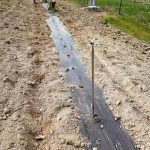 travaux plantation manuelle 32