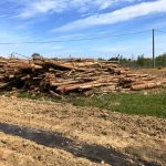 plantation d’arbres et de haies Gers