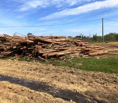 Plantation D’arbres Et De Haies Gers