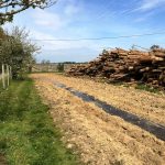 plantation d’arbres et de haies 32