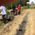 travaux plantation 32