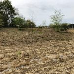 travaux plantation Gers