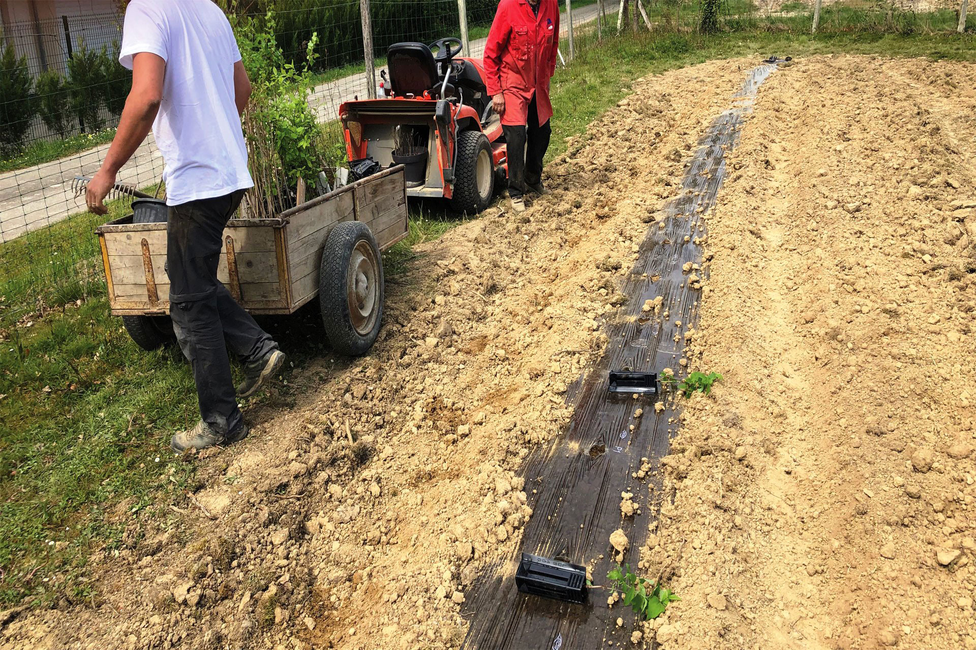 Travaux plantation 32-travaux Truilhé TP