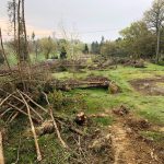 travaux génie forestiers Gers