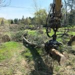 abattage arbre Gers-travaux Truilhé TP