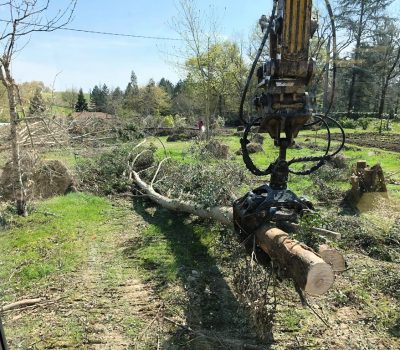 Abattage Arbre Gers-travaux Truilhé TP