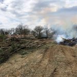 travaux Truilhé TP 32-bûcheronnage Gers