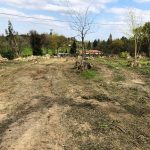 travaux forestiers Gers