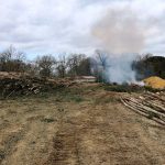 travaux forestiers Bretagne d'Armagnac 32800