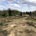 travaux Truilhé TP
