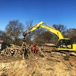 Bucheronnage arbres Gers