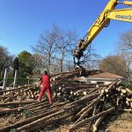 Bucheronnage arbres 32