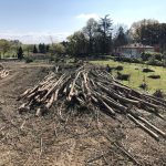 débardage arbres Gers
