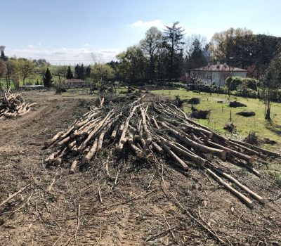 Débardage Arbres Gers