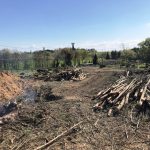 débardage arbres 32800