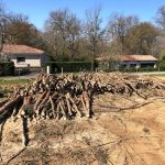 enlèvement arbres Gers