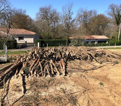 Enlèvement Arbres Gers