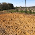 reboisement et plantation gers-travaux Truilhé TP