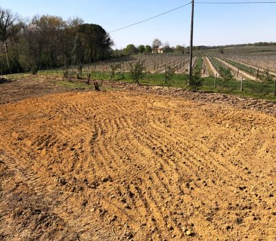 Reboisement Et Plantation Gers-travaux Truilhé TP