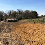 sylviculture Gers-travaux Truilhé TP