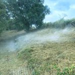 travaux forestiers Gers