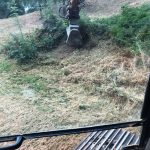 Débroussaillage prix-TRUILHE TP 32