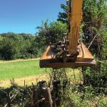 Abattage arbres Touget