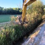 abattage arbre avec sécateur hydraulique Touget