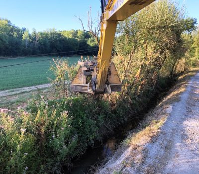 Abattage Arbre Avec Sécateur Hydraulique Touget