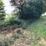 débroussaillage auch 32