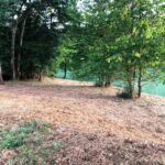 entretien ripisylve digue lac 32
