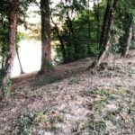entretien ripisylve arbre lac auch