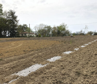 Travaux Agricole Labour Et Plantation--travaux Truilhé TP 32